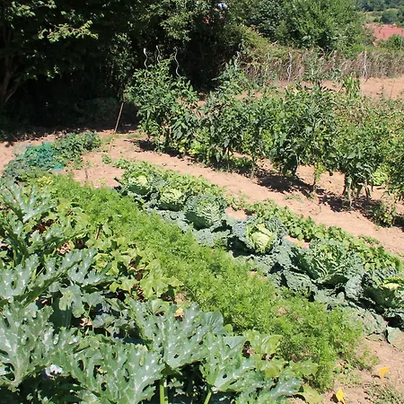 Le Mesnil-3 Mesnil-Follemprise